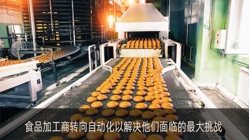 火腿肠生产线：揭秘其价格构成与选购要点